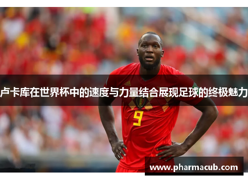 卢卡库在世界杯中的速度与力量结合展现足球的终极魅力